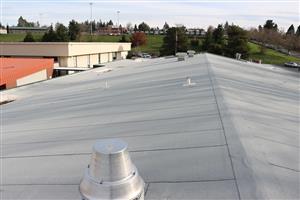 New roof at Rieki